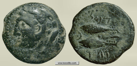 Moneda de Cádiz con cabeza de Herakles con Piel de León de Nemea en anverso y en reverso dos Atunes y caracteres del signario Tartésico púnico
